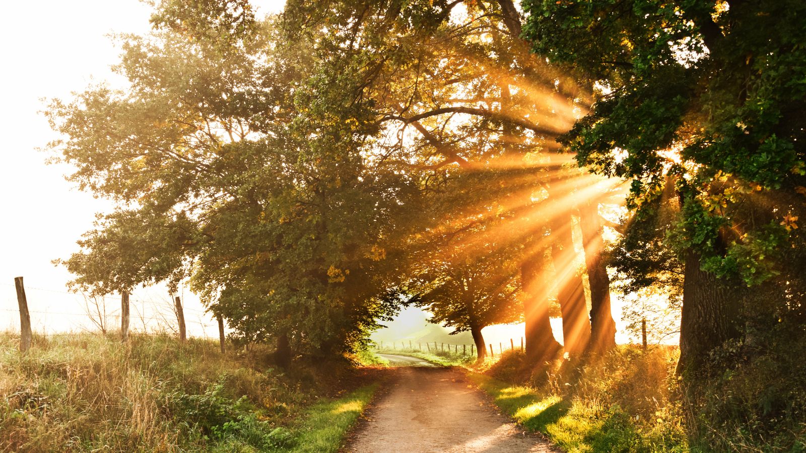 Balado Terre Happy - Nature et bien-être